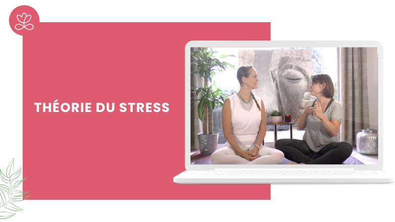Jour 2 - Théorie du stress